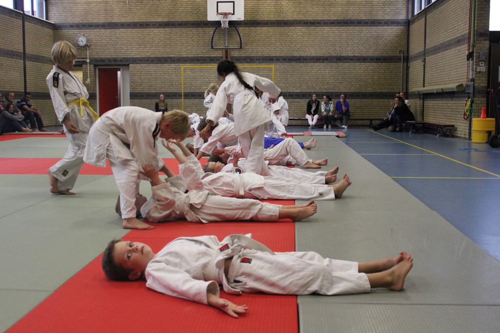 Judoschool Pot
