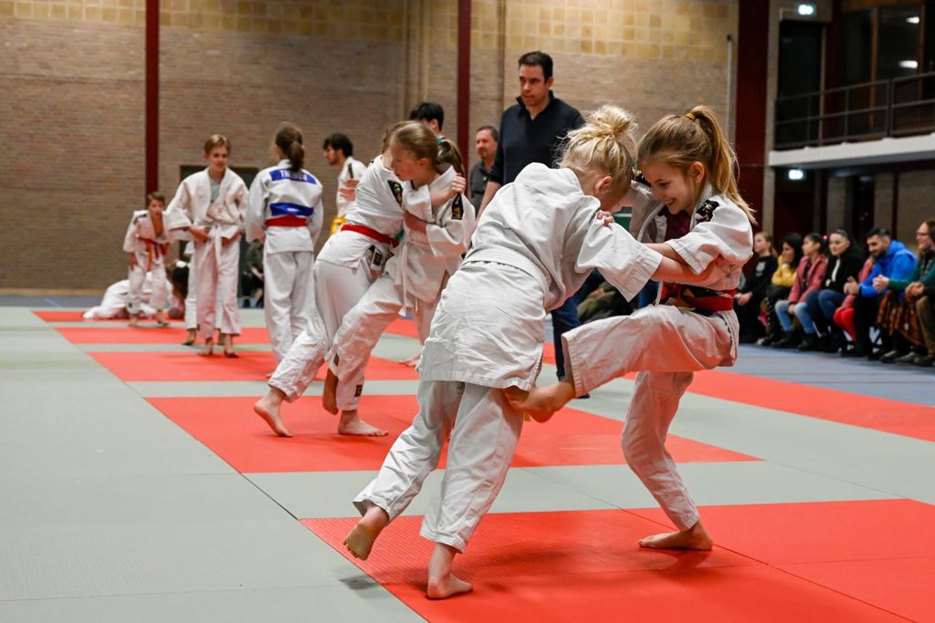 Judoclub Berlicum