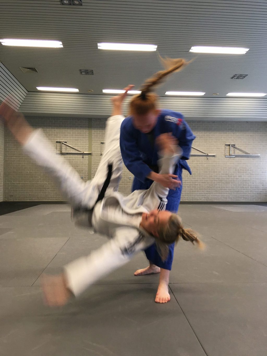 Judo Ryu Mackaay